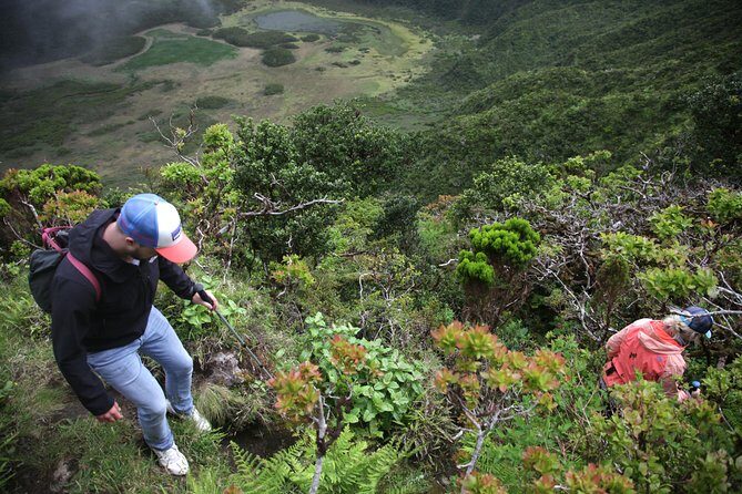 Caldeira do Faial Descent - private hiking tour - Who Should Book This Tour?