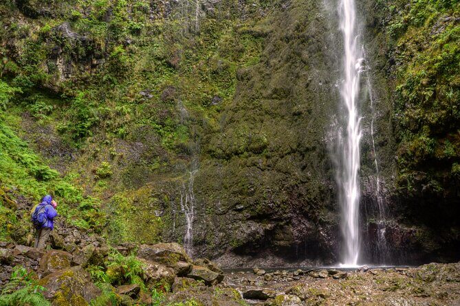 Caldeirão Verde Levada (PR 9) - Guided Madeira Levada Walk - What’s Included & What to Bring