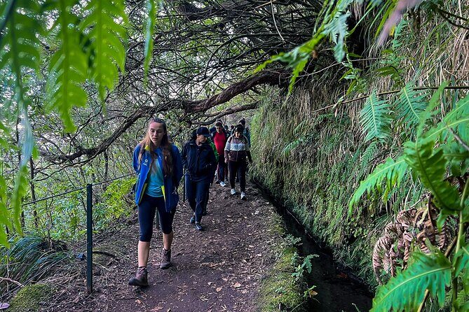 Caldeirão Verde Levada (PR 9) - Guided Madeira Levada Walk - The Experience: Authentic, Educational, and Visual Delight