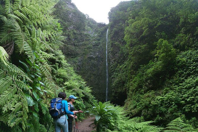 Caldeirão Verde Levada (PR 9) - Guided Madeira Levada Walk - Final Thoughts: Is It Worth It?