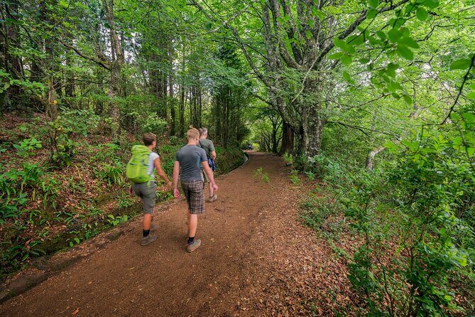 Caldeirão Verde Levadas Walk in Madeira - The Walk: An Ecological and Cultural Journey