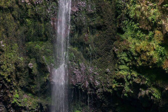 Caldeirão Verde Levadas Walk in Madeira - Frequently Asked Questions