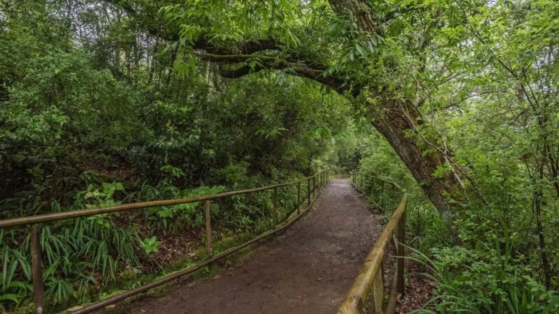 Caldeirão Verde: Queimadas PR9 Transfer Hike - The Sum Up