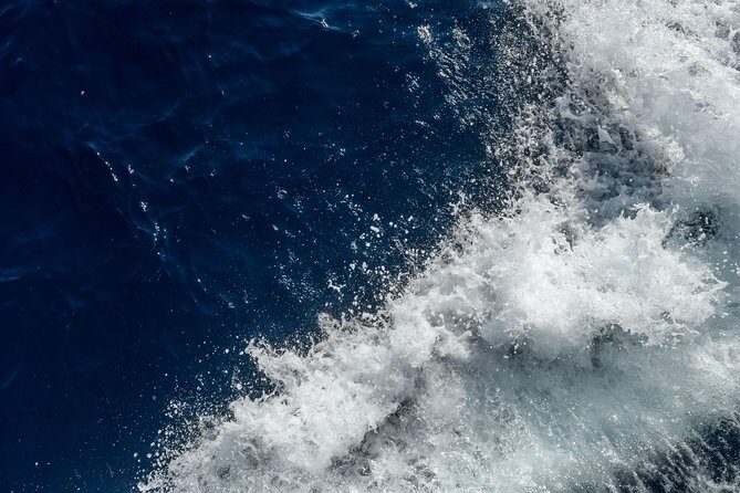 Caldera Morning Cruise With King Thiras Boat - What Makes This Tour Special?