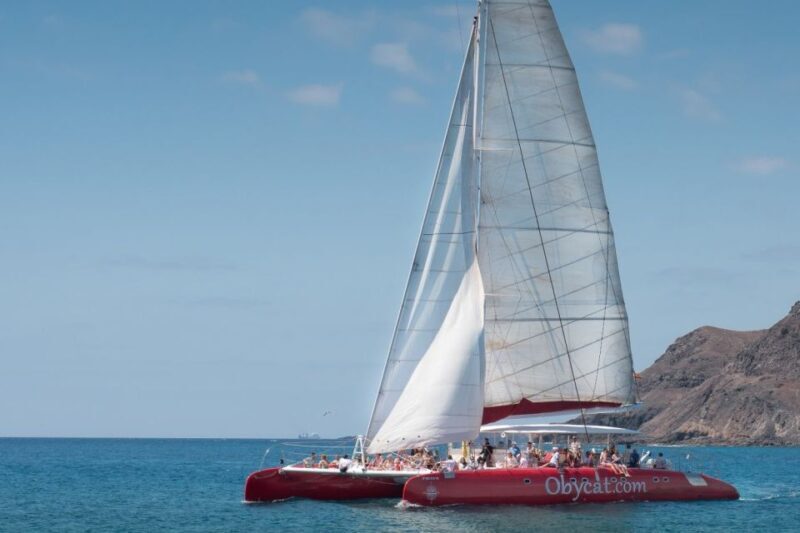 Caleta de Fuste: Catamaran Sailing Experience - Authentic Experiences and Reviewer Insights
