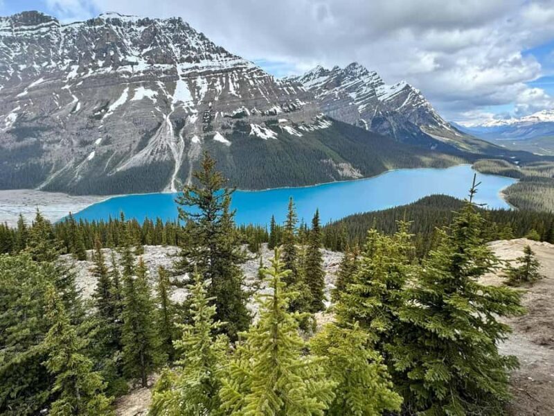 Calgary Banff: Columbia Icefield, Skywalk, and Lakes DayTour - Skywalk over Sunwapta Valley