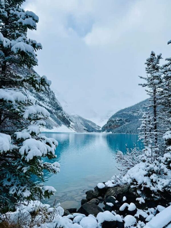 Calgary, Banff: Lake louise , Moraine ,Emerald Lake day Tour - Key Points