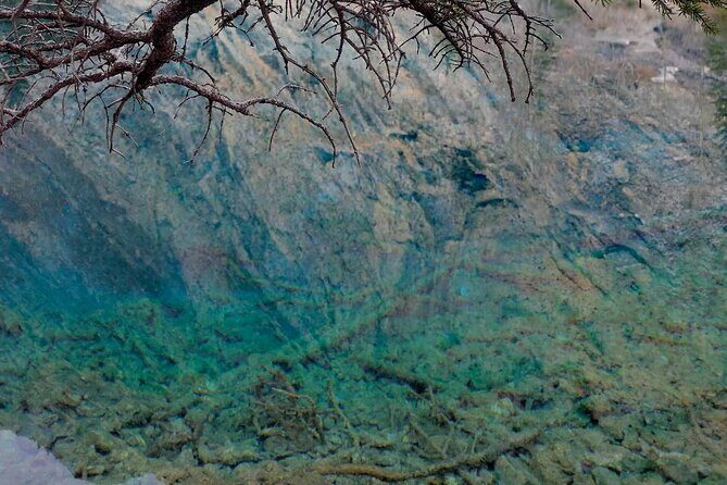 Calgary/Canmore/Banff Grassi Lake and Grotto Canyon Hiking Tour - Discovering Grotto Canyon