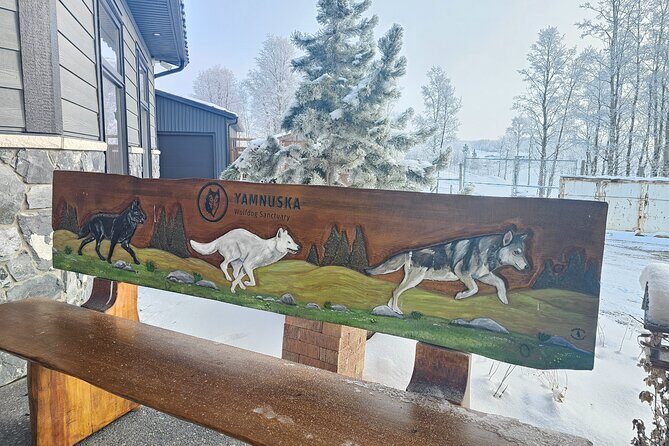 Calgary City Tour and Yamnuska Wolfdog Sanctuary Private Tour - The Sum Up: Who Should Consider This Tour?