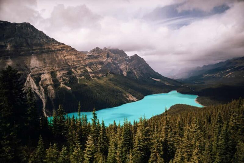 Calgary: Columbia Icefield & Skywalk, Peyto, Bow & Glaciers - Key Points