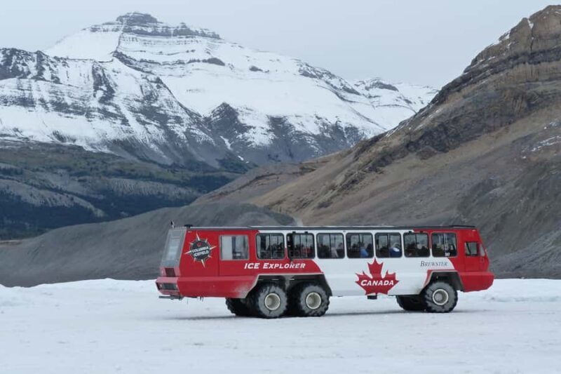 Calgary: Columbia Icefield & Skywalk, Peyto, Bow & Glaciers - Who Will Love This Tour?