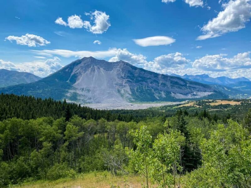 Calgary: Crowsnest Pass Tea & Tapas Experience - Why This Tour Works Well for Travelers