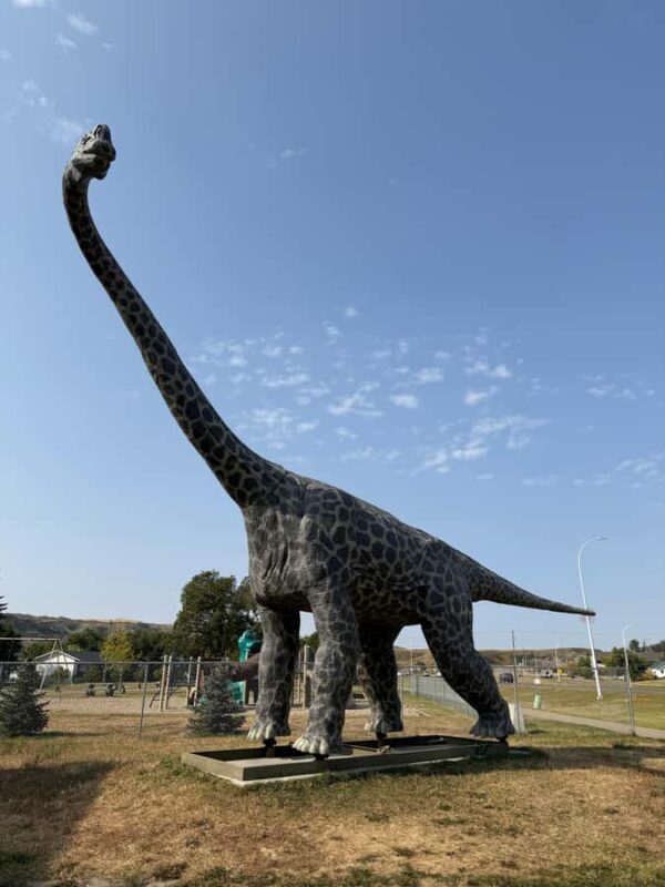 Calgary: Drumheller and Badlands Tour with Museum Entry - Key Points