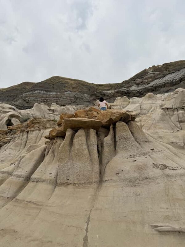Calgary: Drumheller and Badlands Tour with Museum Entry - In The Sum Up