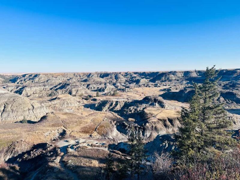Calgary: Guided Drumheller Small Group Tour Museum, Hoodoos - FAQ