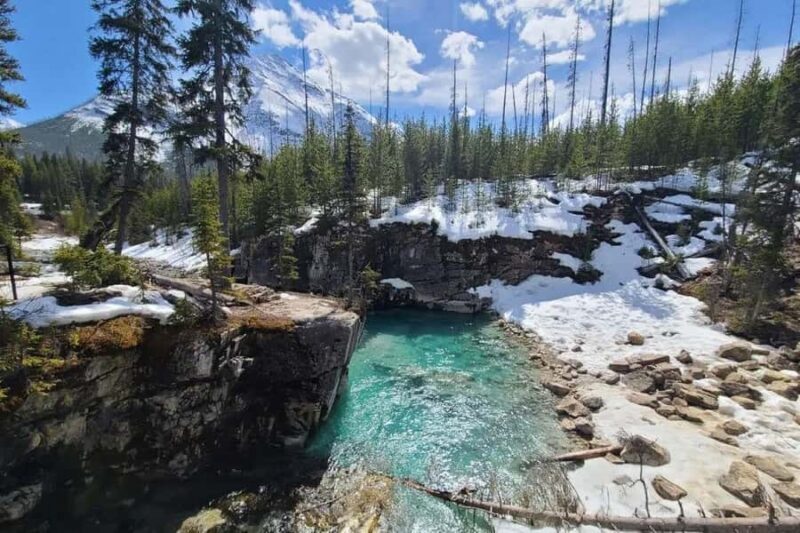 Calgary: Radium Hot Springs & Marble Canyon Day Trip - Who Will Love This Tour?