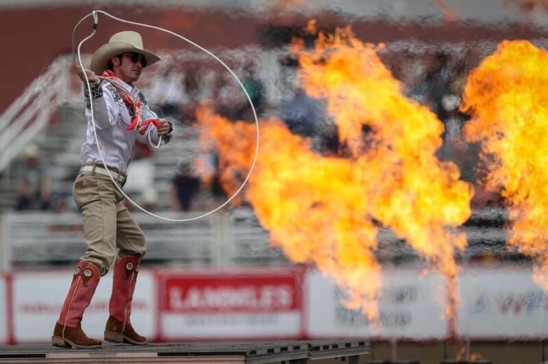 Calgary Stampede Afternoon Rodeo - What Can You Expect at the Venue?