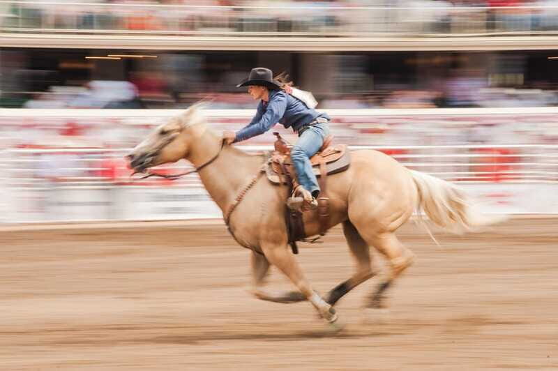 Calgary Stampede Afternoon Rodeo - The Authenticity and Educational Value