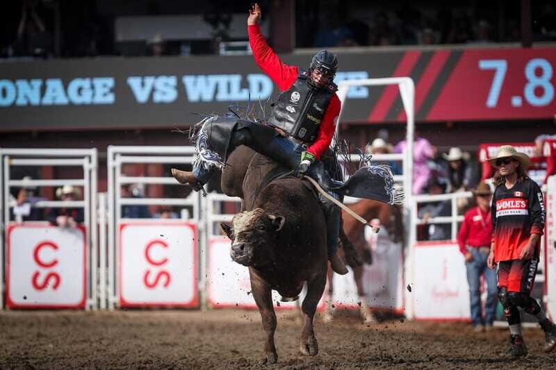 Calgary Stampede Afternoon Rodeo - The Sum Up: Is It Worth Your Time?