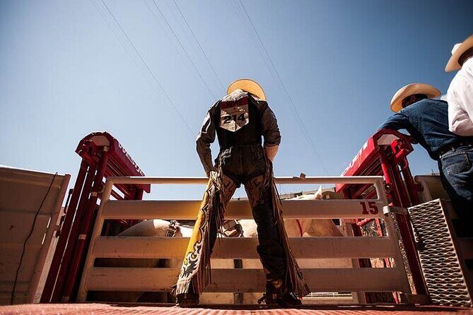 Calgary Stampede Afternoon Rodeo - Who Is This Tour Best For?