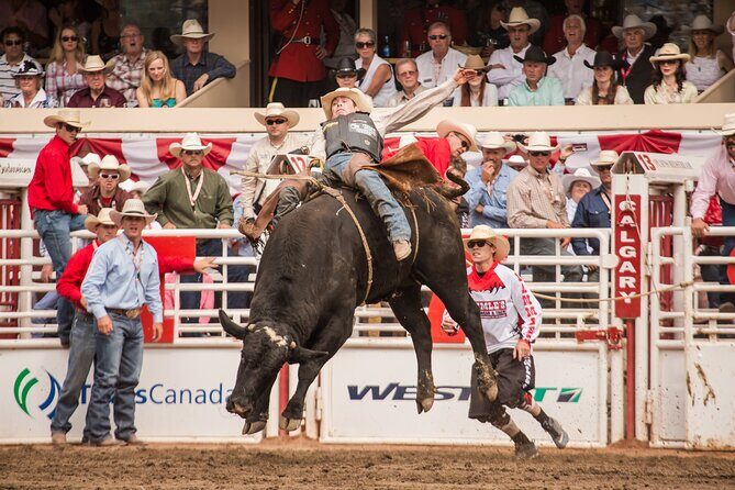 Calgary Stampede Two Day Thrill Package - An In-Depth Look at the Calgary Stampede Experience