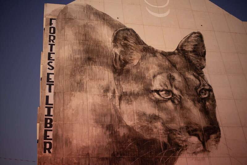 Calgary: Street Art & Craft Beer Walking Tour w/ Tastings - Calgary: Street Art & Craft Beer Walking Tour w/ Tastings — A Detailed Look