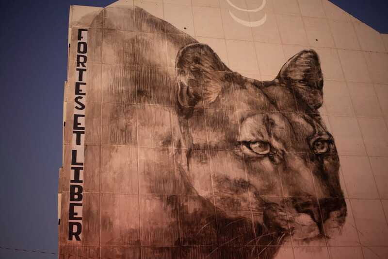 Calgary: Street Art & Craft Beer Walking Tour w/ Tastings - The Sum Up