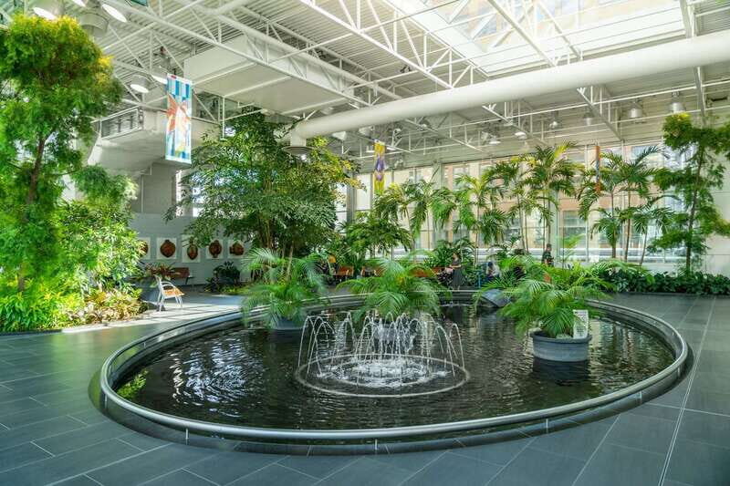 Calgary: Tips-Based City Highlights Walking Tour | 3-Hour - What to Expect from This 3-Hour Calgary Tour