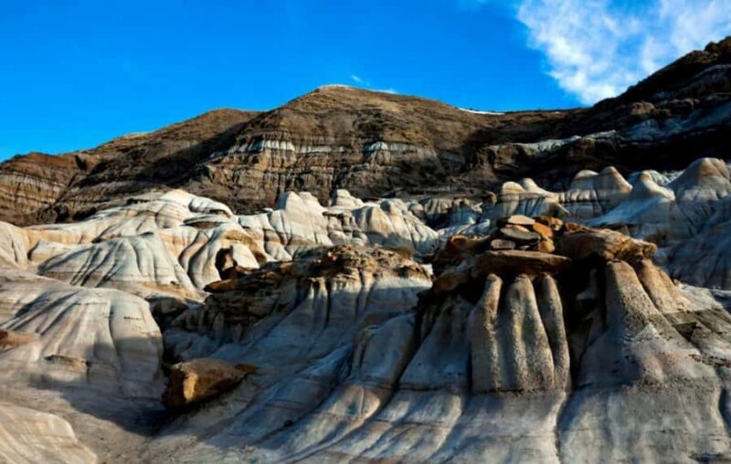 Calgary: To Drumheller (tiny town of huge monsters) Day Tour - Key Points