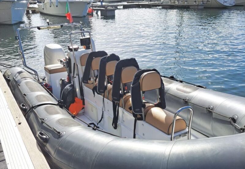 Calheta: Whale & dolphin watching small groups designer tour - Key Points