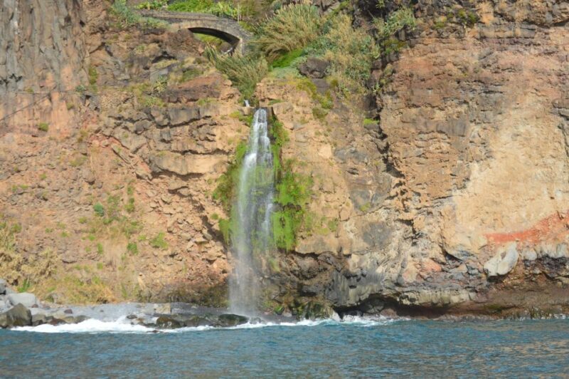 Calheta: Whale & dolphin watching small groups designer tour - Authentic Experiences from Past Travelers