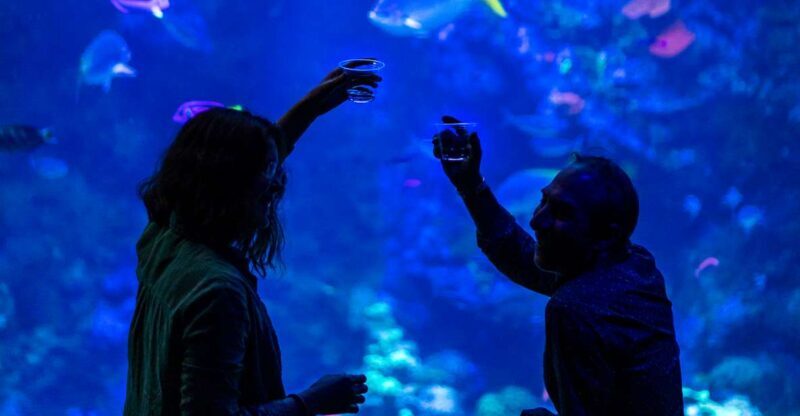 California Academy of Sciences NightLife Plus Admission - A Closer Look at What You Can Expect