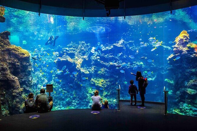 California Academy of Sciences Ticket in San Francisco - What Makes the California Academy of Sciences Special?