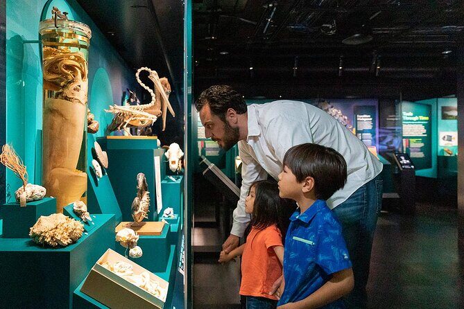 California Academy of Sciences Ticket in San Francisco - The Cost-Value Balance