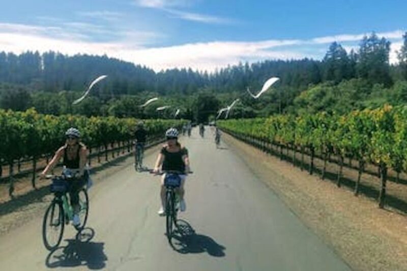 Calistoga: Napa Valley Cycling and Winery Tour with Picnic - An In-Depth Look at the Calistoga Napa Valley Cycling and Winery Tour