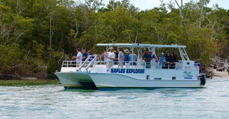 Calm Bay/Coastal Fishing - Why Choose This Tour?