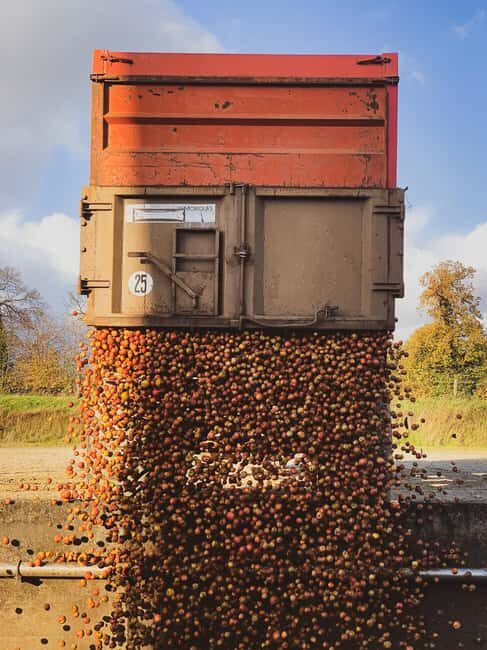 Calvados: the art of making Coquerel Calvados and Normindia Gin - A Complete Look at the Coquerel Distillery Tour
