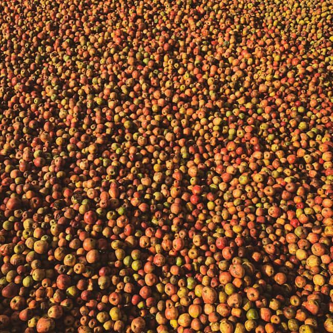 Calvados: the art of making Coquerel Calvados and Normindia Gin - FAQs