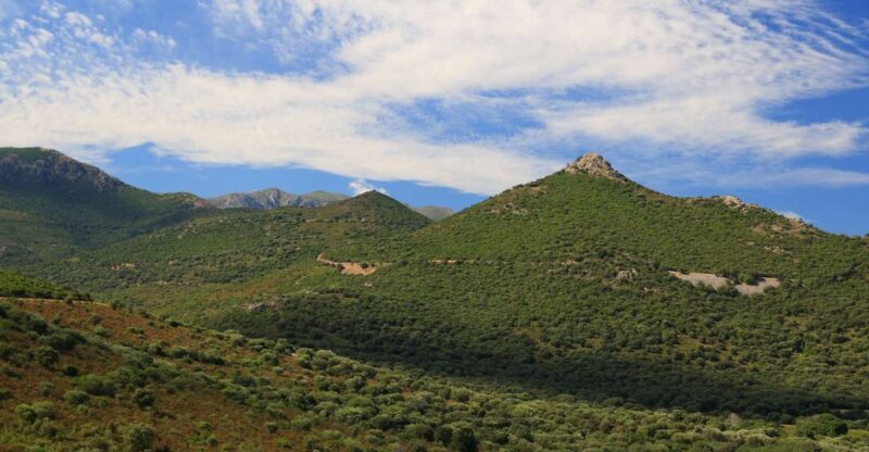 Calvi: Asco Valley 4x4 Day Tour with Guide - A Deep Dive into the Experience