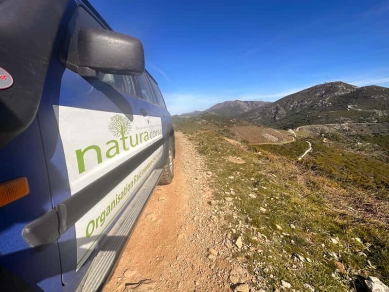 Calvi: Asco Valley 4x4 Day Tour with Guide - Authenticity and Value