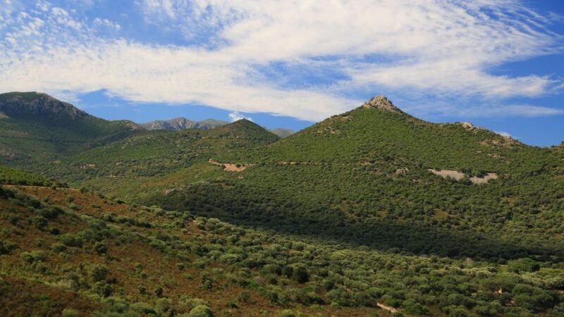 Calvi: Asco Valley 4x4 Day Tour with Guide - The Sum Up