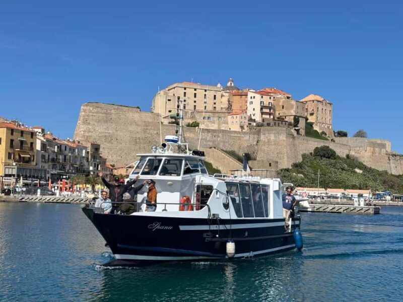 Calvi: guided boat tour for 48 people to Scandola - The Experience and What Travelers Say