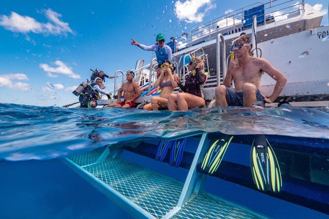 Calypso Outer Great Barrier Reef Cruise from Port Douglas - Key Points