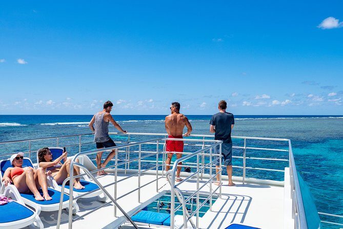 Calypso Outer Great Barrier Reef Cruise from Port Douglas - The Experience: What to Expect from Calypso Reef Cruises