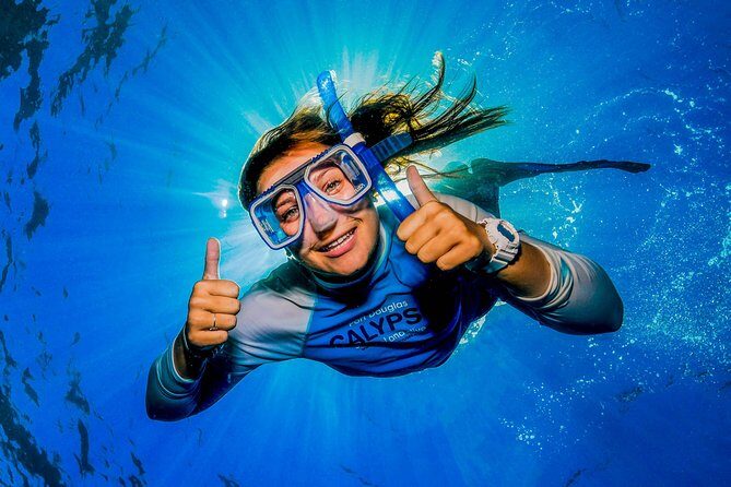 Calypso Outer Great Barrier Reef Cruise from Port Douglas - Who Is This Tour Best For?