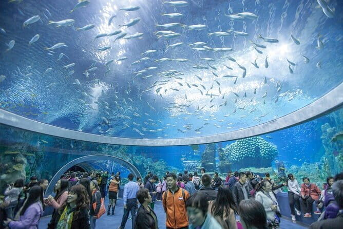 Cam Ranh Nha Trang 4 Days Tour with City, Vinwonder and 4 Islands - A Closer Look at the 4-Day Nha Trang Tour