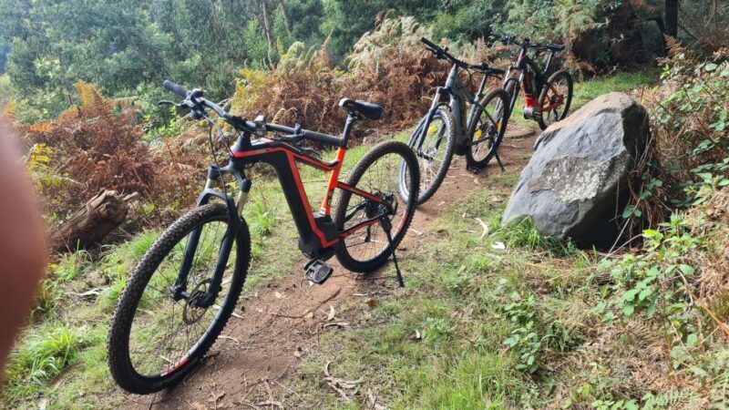 Camacha: Levada Trail e-Bike Guided Tour - Key Points