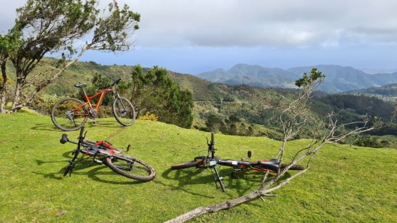 Camacha: Levada Trail e-Bike Guided Tour - Authentic Experiences and Real Feedback