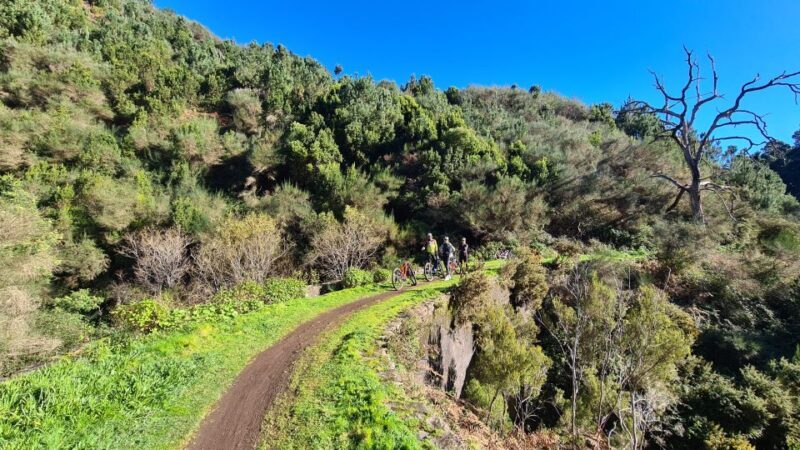 Camacha: Levada Trail e-Bike Guided Tour - FAQs