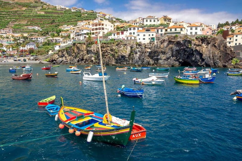 Câmara de Lobos, Pico da Torre, and Porto Moniz Tour - The Value of This Tour
